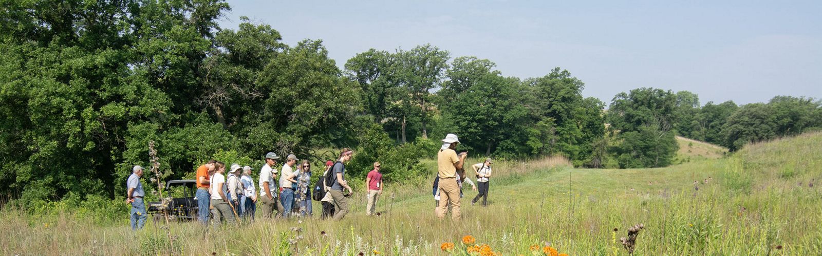 Field trip of restored (re-planted) prairie on private land in Iowa. North American Prairie Conference 2023