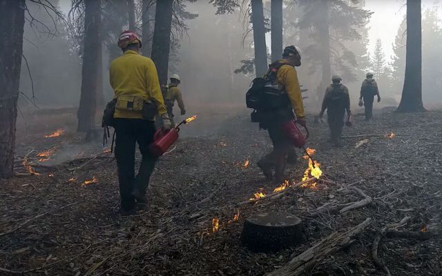 We know that ecological forest restoration, like the removal of small and unhealthy trees and controlled burning, can reduce the risk of severe wildfire. 