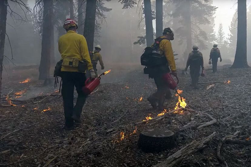 We know that ecological forest restoration, like the removal of small and unhealthy trees and controlled burning, can reduce the risk of severe wildfire. 