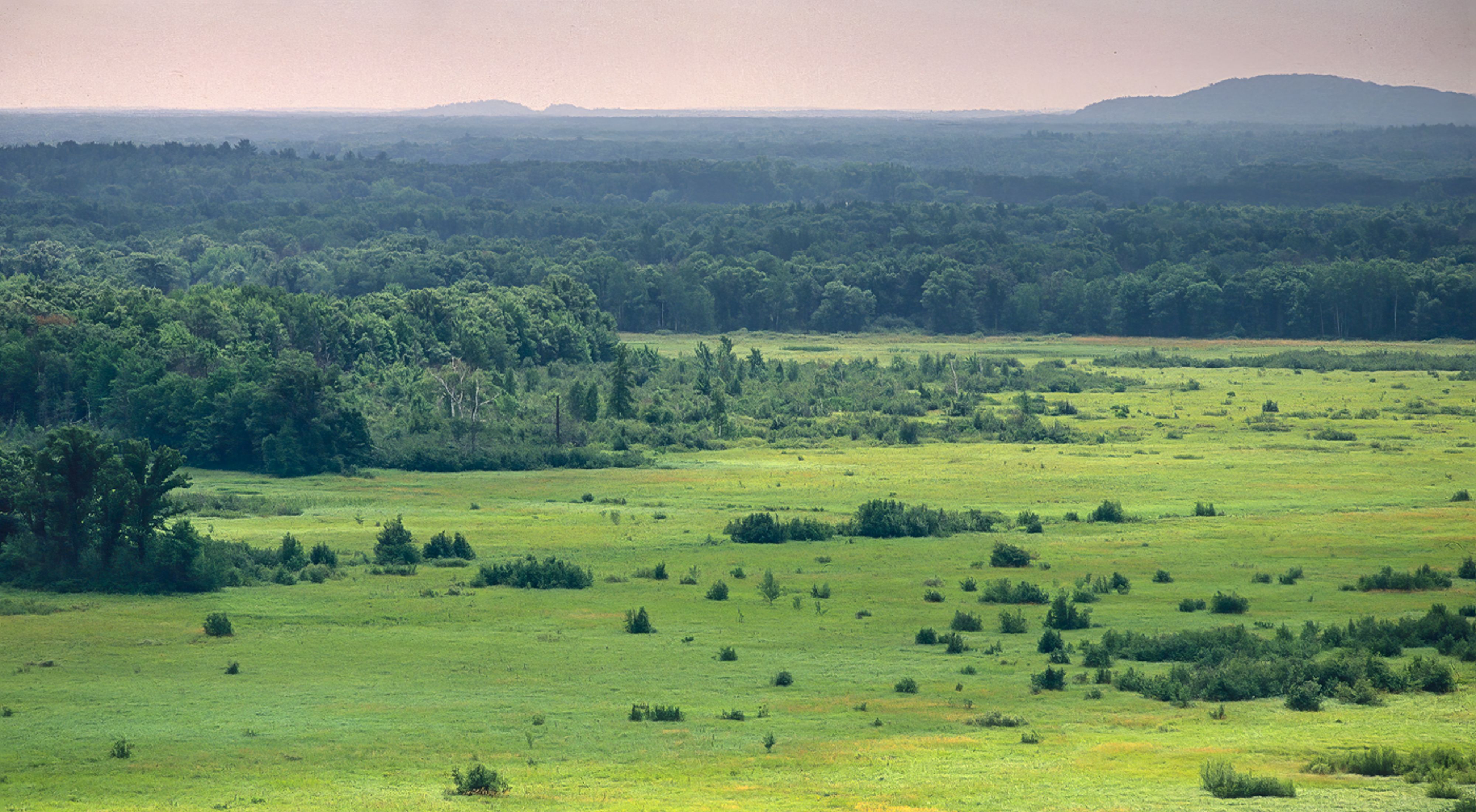 A green grassland dotted by trees stretches to the horizon with a hill silhouetted in the background. 