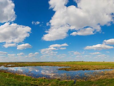 A shallow blue wetland pond surrounded by green and brown grass.