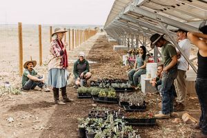 A group of people gathered under a solar panel with plants to plant in the ground underneath.