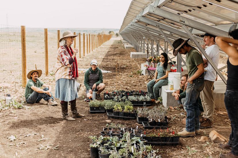 A group of people gathered under a solar array with plants. 