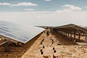 A person walking in between large solar panels on the ground.