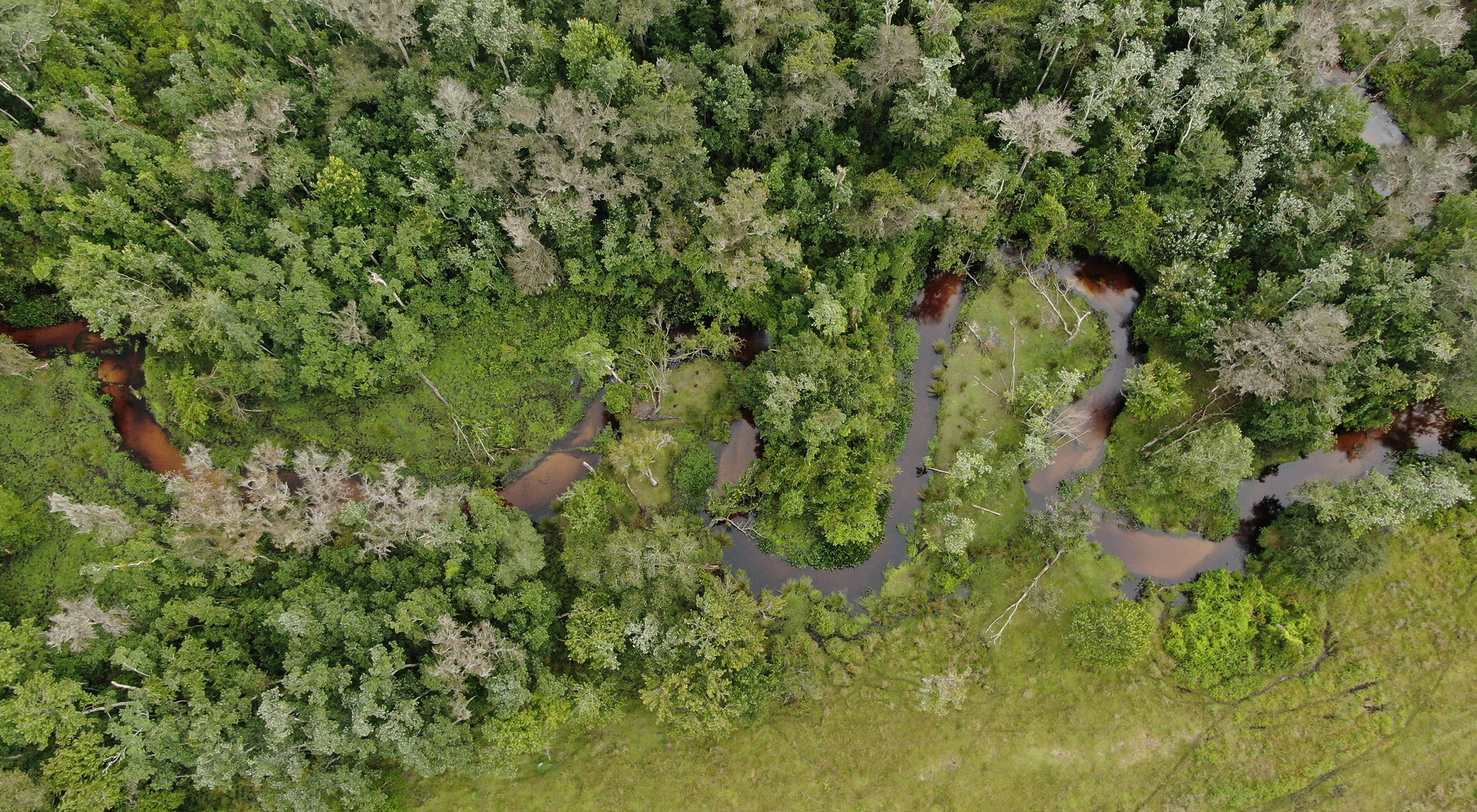 Aerial view of Arbuckle Creek meandering through the wooded landscape of Ravensworth Farms. 
