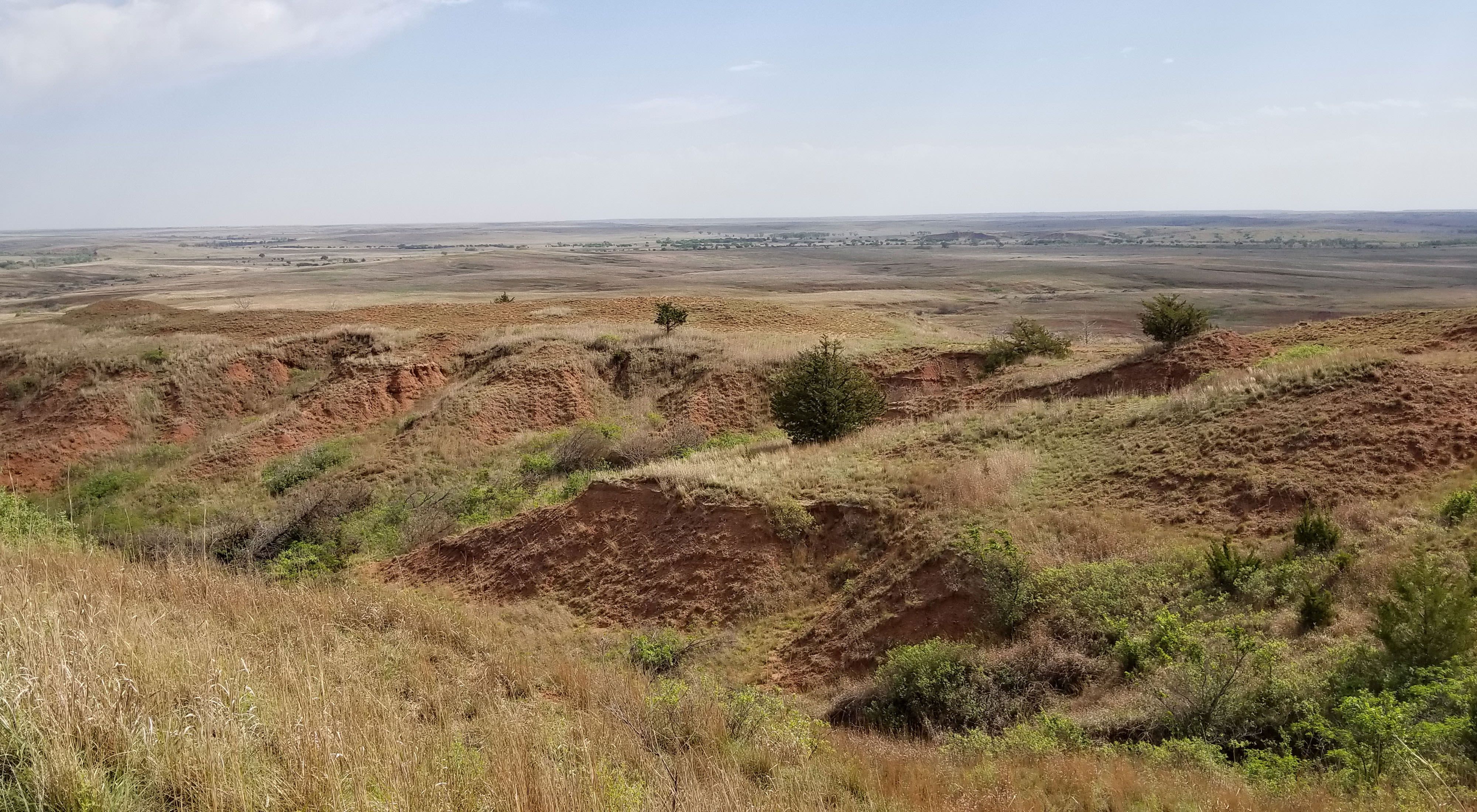 The oxidated iron in the soil gives the Red Hills their name. Also known as the Gypsum or Gyp Hills, the mixed-grass native prairie of the region extends into Oklahoma.