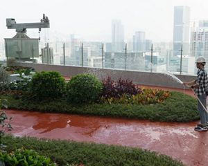 Rooftop Garden
