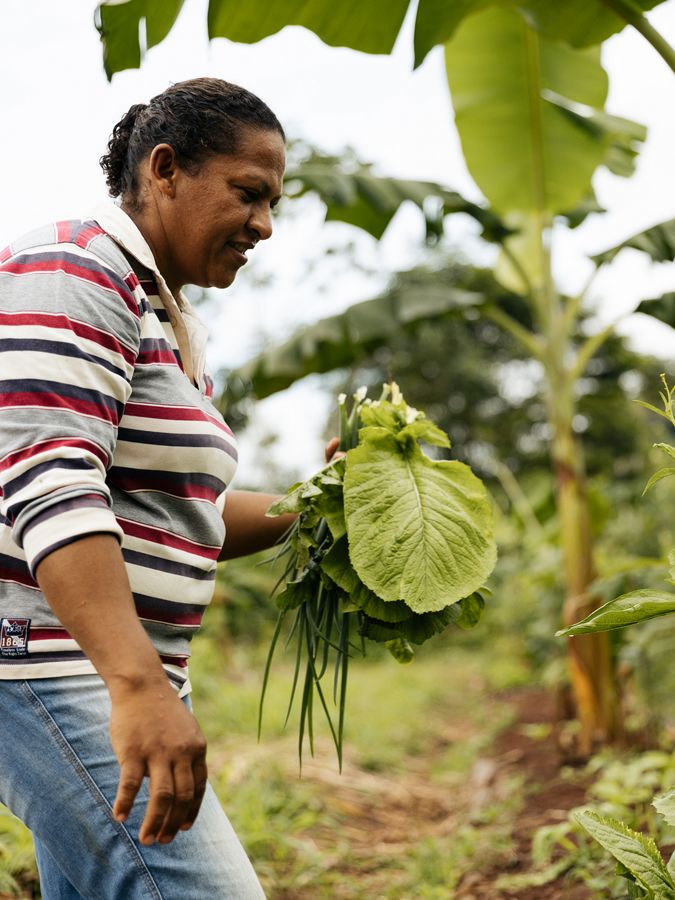 A woman holds cocoa leaves in her hand while smiling