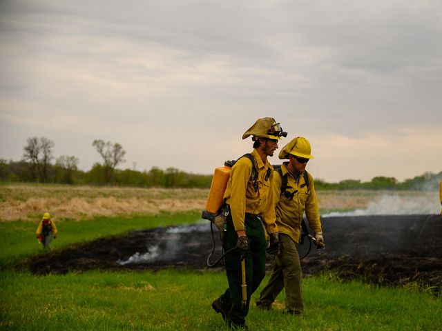 Two fire technicians walking together in front of a grassland that has been burned.