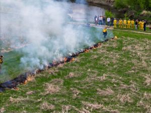 Aerial view of a group watching a prescribed burn on a grassland.