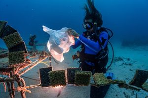 A man using a bag to install items underwater.