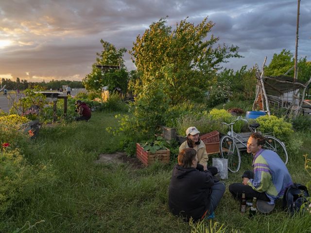 People in community garden