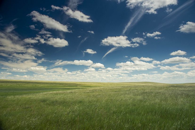 the grasslands of Eastern Mongolia