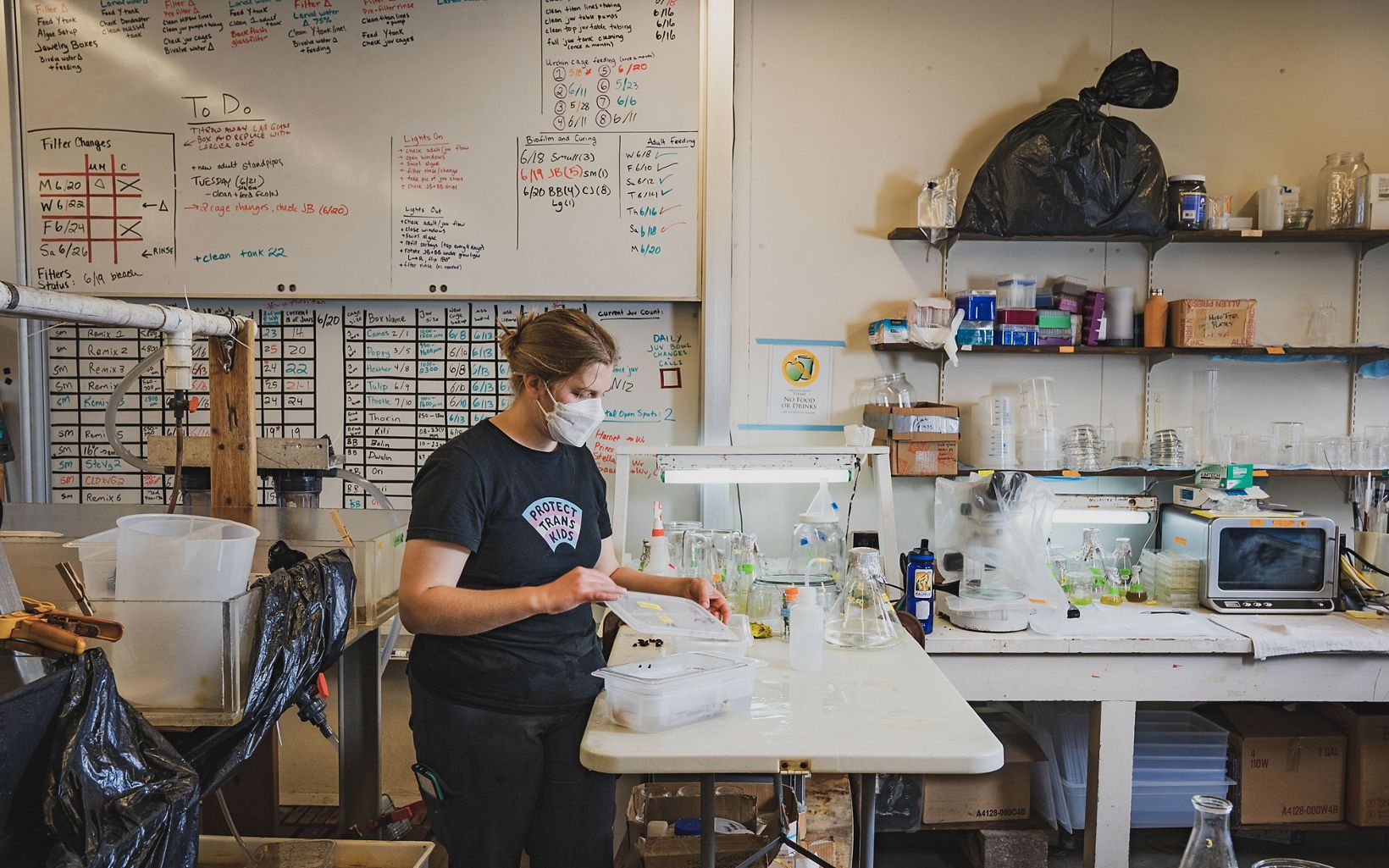 
                
                  Prep Station Research assistant Fiona Curliss prepares tubs for growing sunflower sea stars. 
                  © Morgan Heim
                
              