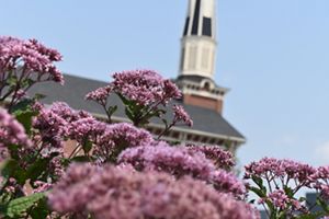 Brightly colored flowers with church building in the background. 