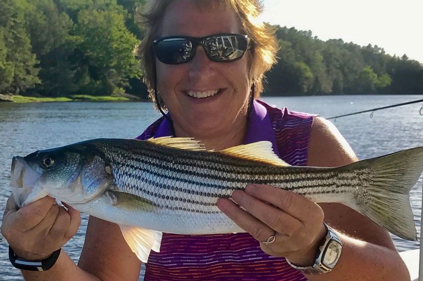 Biologist Sandy Ritchie shows off a striped bass fish she caught on the Kennebec River.