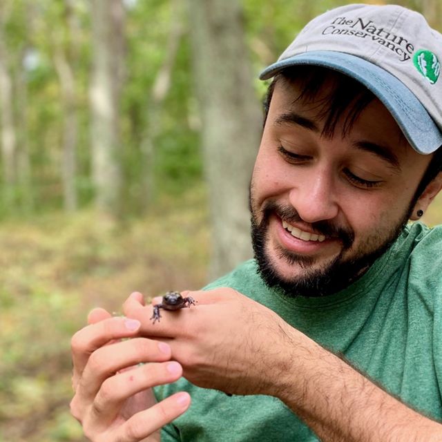 A view of a person wearing a "The Nature Conservancy" baseball cap on the right smiling and looking at a salamander they are holding.