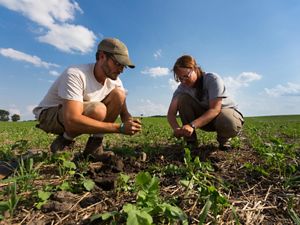 Sarah Delbecq, a sixth-generation farmer in Indiana, and her husband, Benoit, are among a growing movement of farmers who are exploring conservation practices on their land.