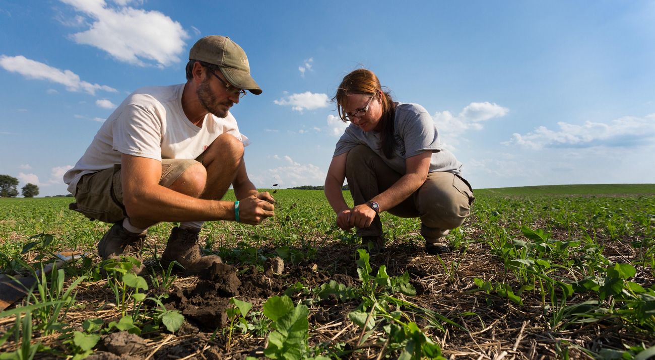 Two people crouching in field.