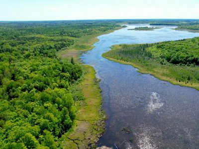 The Fond du Lac Indian Reservation sits at the southern border of the boreal forests, an area that may be vulnerable to climate change.
