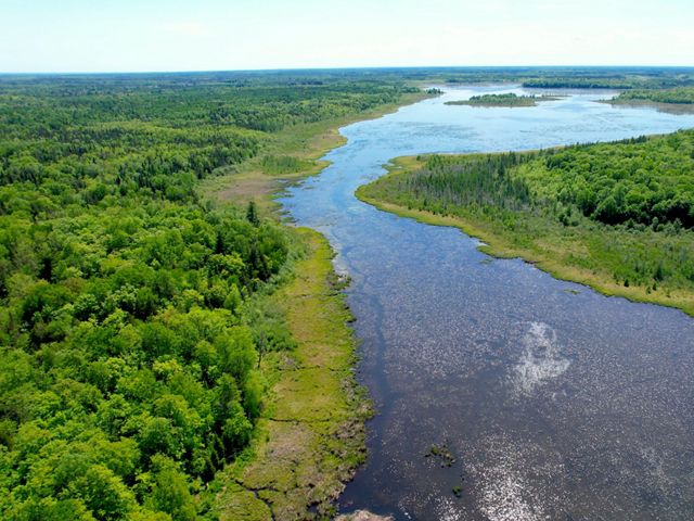 The Fond du Lac Indian Reservation sit at the southern border of the boreal forests, an area that may be vulnerable to climate change.