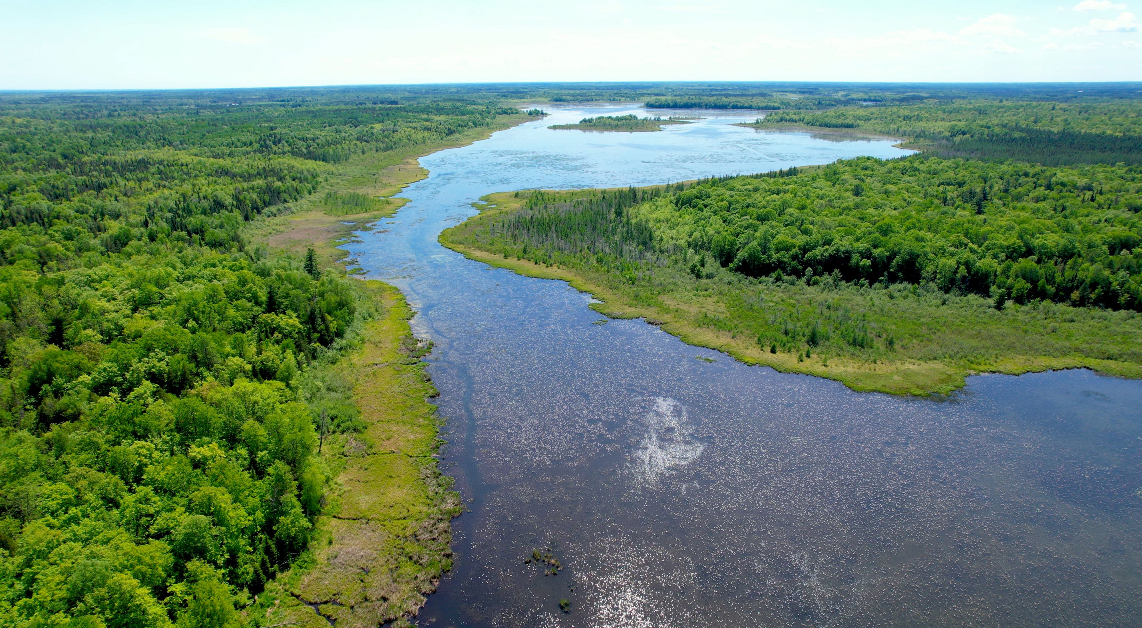 Aerial view of a healthy lake surrounded by forest.