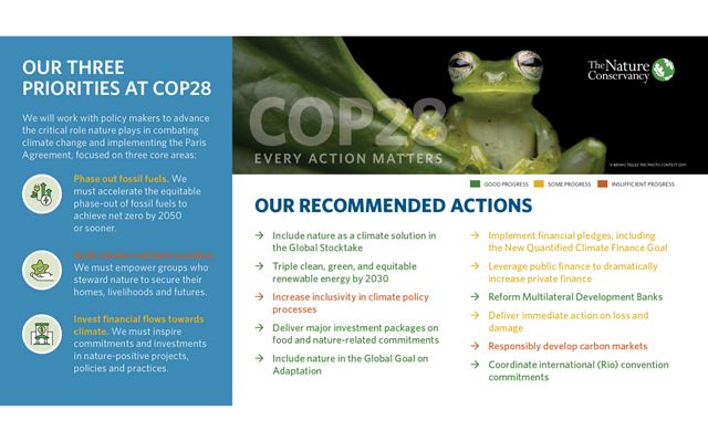 Our recommended actions for COP28