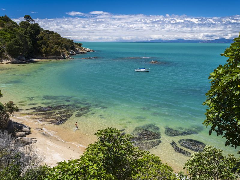 Aerial view of a person wading into crystal blue waters in a bay in New Zealand on a bright, sunny day.