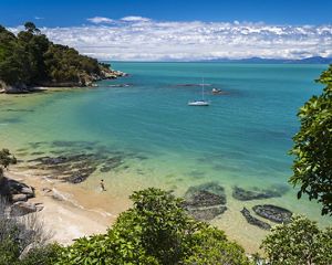 Aerial view of a person wading into crystal blue waters in a bay in New Zealand on a bright, sunny day.