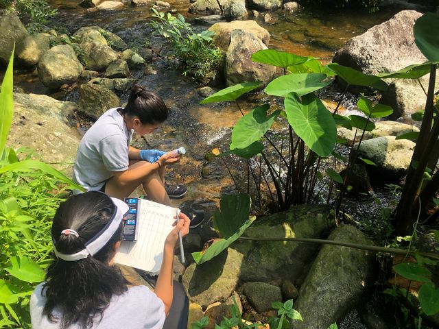Two students are taking scientific samples of stream water.