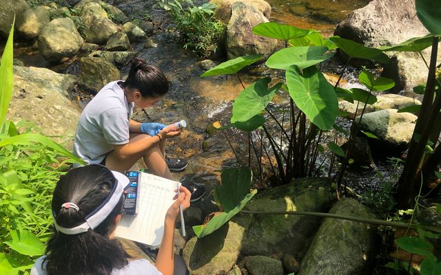 Students doing field work