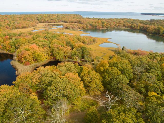 More than 150,000 acres of local open space and farmland have been protected on Long Island's East End.