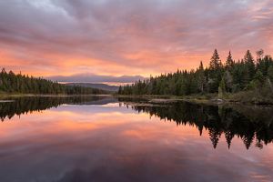 A golden red sunset over trees and a lake.