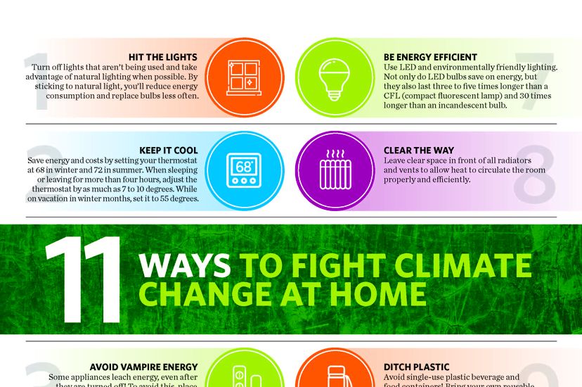 Infographic listing 11 different sustainability tips.