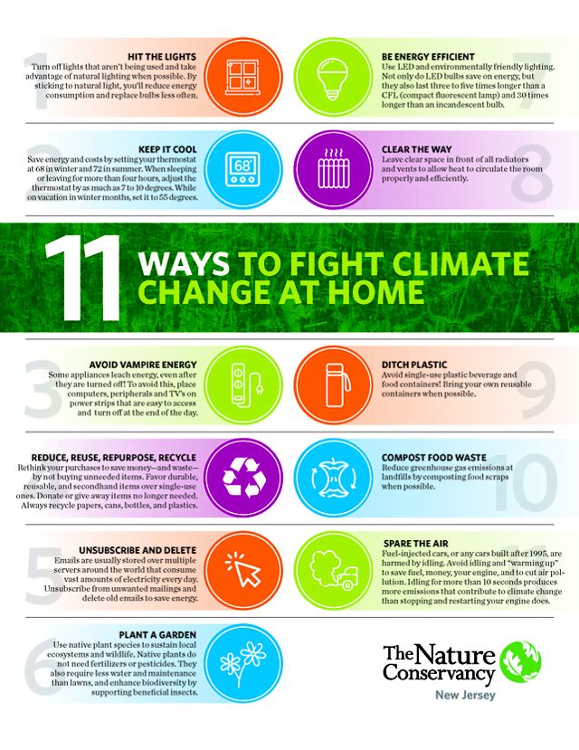 Infographic listing 11 different sustainability tips.