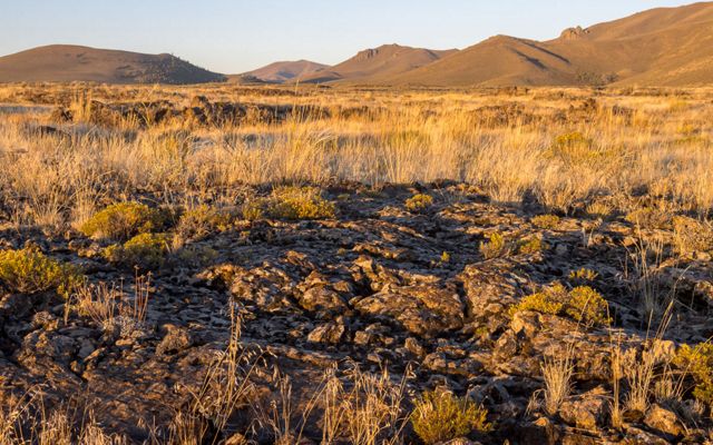 Golden grasses grow along the edge of a rocky lava field with hills in the distance.