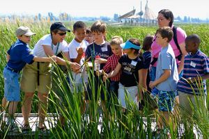 Several children stand together with two adults on a boardwalk and look at tall marsh grasses.