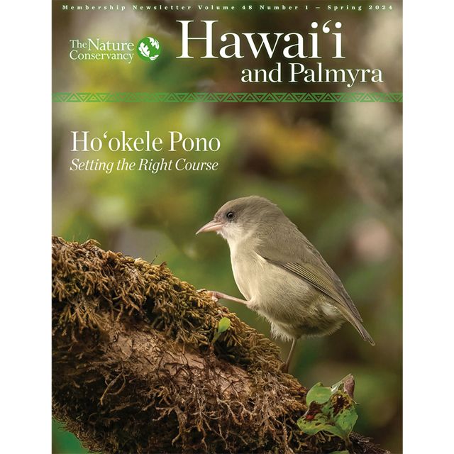 Cover of the 2024 TNC Hawaii and Palmyra spring newsletter.