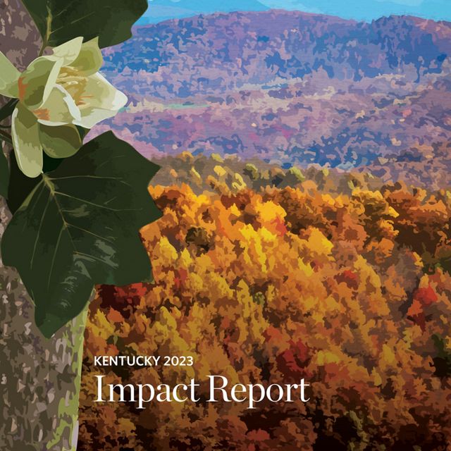 Cover of the TNC Kentucky 2023 impact report showing a painting of fall colors in a forest.
