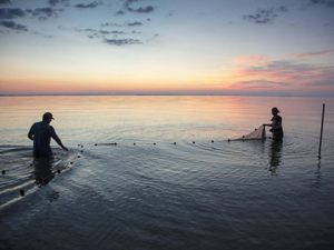 Two people set seines in Lake Erie. 