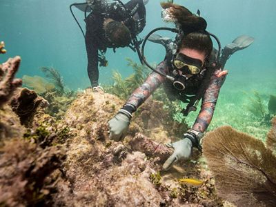 A brigade member practices securing corals to the reef to prepare for repairing reefs following a hurricane in Puerto Morales.