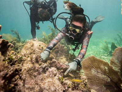 A brigade member practices securing corals to the reef to prepare for repairing reefs following a hurricane in Puerto Morales.