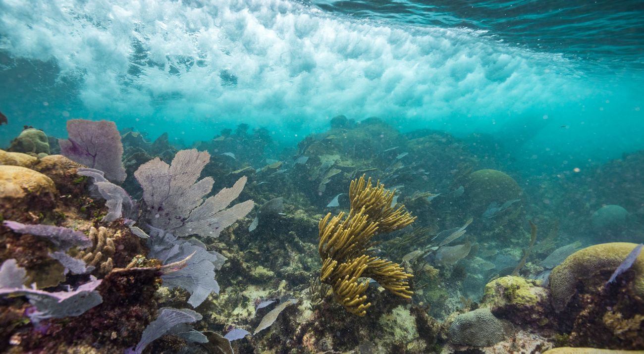 Documenting wave action along a coral reef.