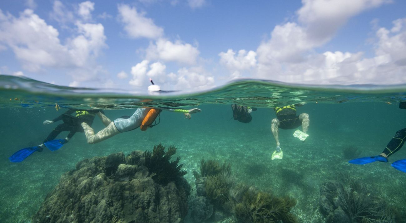 A half under-half over view of snorkelers swimming over a coral reef.