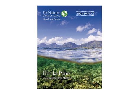 Cover of the 2024 TNC Hawaii and Palmyra Impact Report.