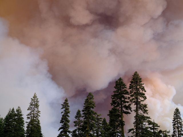 Smoke rises above the Dixie wildfire in Plumas County, California.