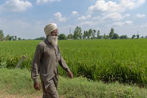 How Farmers In India Are Fighting Climate Change & Improving Air