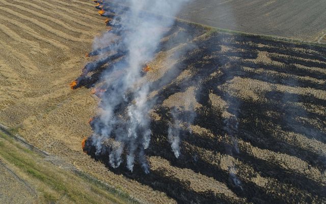 Aerial of a rice paddy field on fire. The orange flames are making their way to tan rice stubble while leaving a path of smoldering lines of stubble.