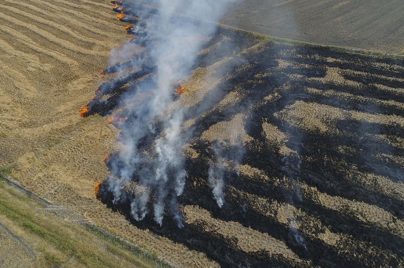 Aerial of a rice paddy field on fire. The orange flames are making their way to tan rice stubble while leaving a path of smoldering lines of stubble.
