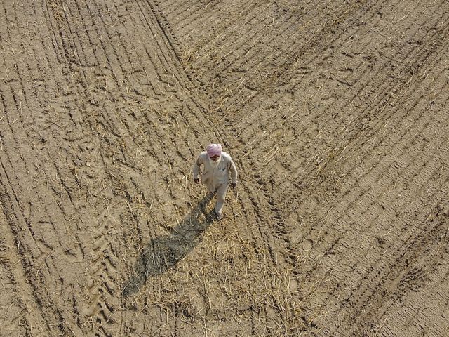 Aerial of Amar Singh walking over a dry bare farm field with tractor tracks that has just been seeded.